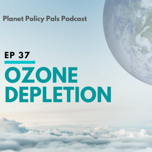 EP 37: Ozone Depletion (What Happens When?)