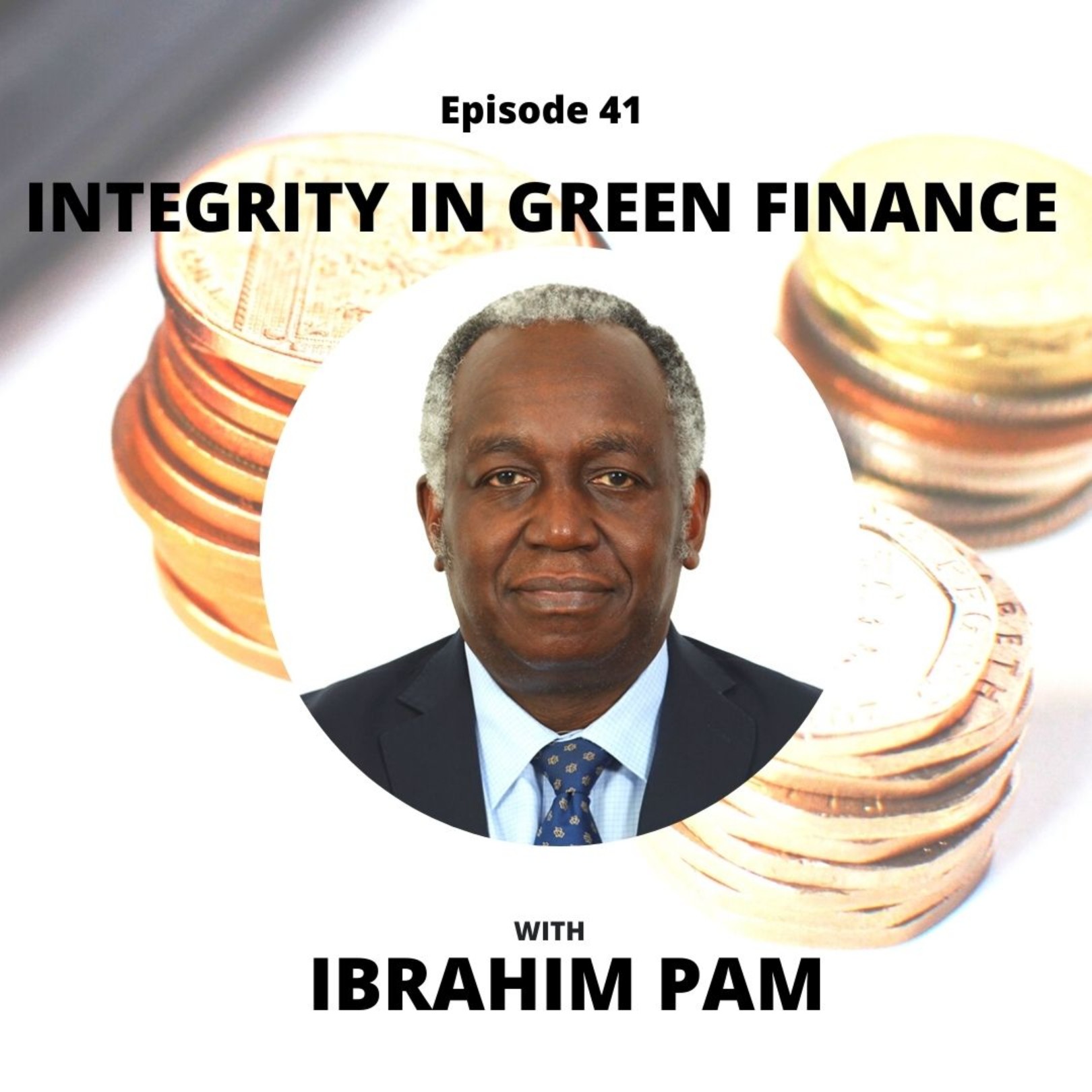 EP 41: Integrity in Green Finance with Ibrahim Pam PT 2