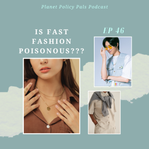 EP 46: Is fast fashion poisonous? (Is it true?)