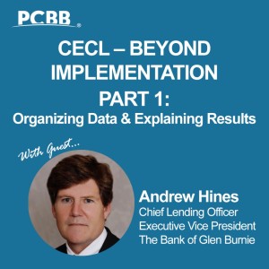 CECL - Beyond Implementation, Part 1: Organizing Data & Explaining Results