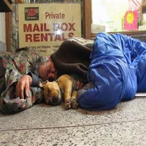 Relationships And Understanding People: Homeless with pets: