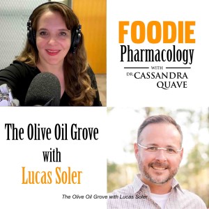 The Olive Oil Grove with Lucas Soler