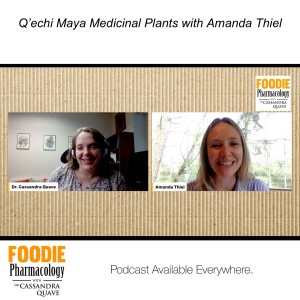 Q’eqchi’ Maya Medicinal Plants with Amanda Thiel