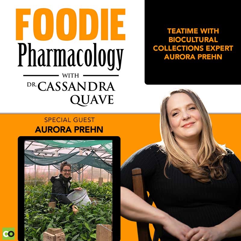 Foodie Pharmacology Podcast