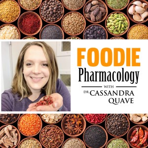 Foodie Pharmacology Series Preview