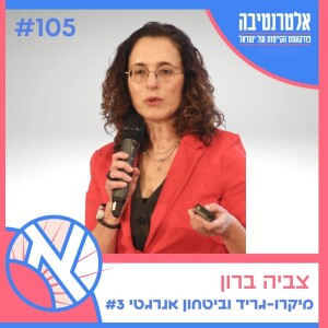 צביה ברון // מיקרו-גריד וביטחון אנרגטי בישראל - פרק 3