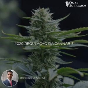 #020 Regulação da Cannabis (com Rodrigo Mesquita)