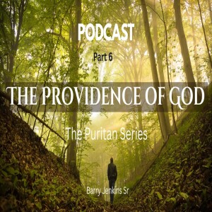 Unveiling God's Providence: Insights from the Puritan Series