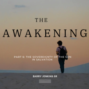 The Awakening Series Part 6: The Sovereignty of the Son in Salvation