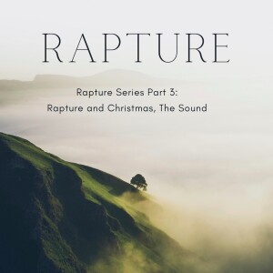 Rapture Series Part 3: Rapture and Christmas, The Sound