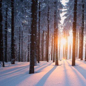 Winter's Artist, episode 9