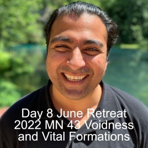 Day 8 June Retreat 2022 MN 43 Voidness and Vital Formations.