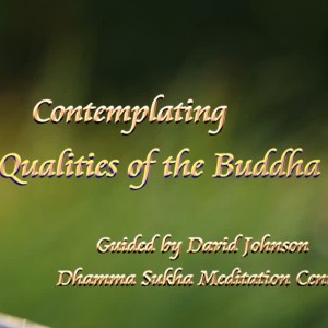 Developing Faith in the Buddha -Guided Meditation