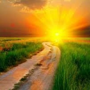 Barefoot Radio: Embracing New Beginnings (Ep 9)