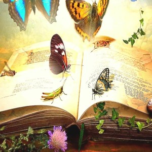Barefoot Radio Transformation Moving from Stuck to Creative Flow (Ep 4)