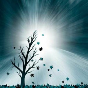 Barefoot Radio: Gratitude Helping with Grief and Loss (Ep 51)