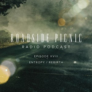 Roadside Picnic Episode XVIII - Entropy / Rebirth