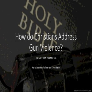 How should Christians Think about Gun Violence.