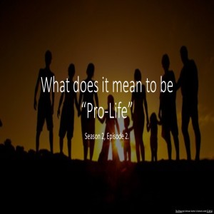 What does it mean to be ”Pro-Life”