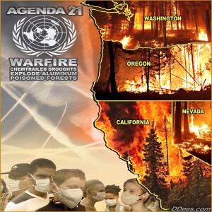 Manipulating the Weather and Calling it Climate Change. Weather Warfare Since 1952