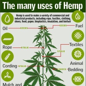 hemp the world episode 1