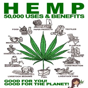 Hemp the world episode 4