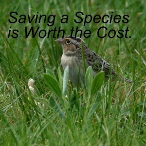 Saving a Species Is It Worth the Cost?