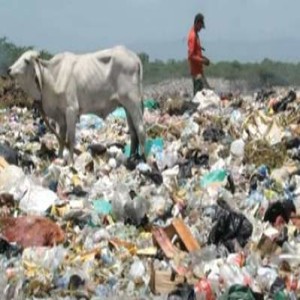 Contaminación del Suelo