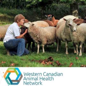 WeCAHN Small Ruminant Health Update: Zoonotic Diseases of Sheep and Goats