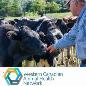 WeCAHN Cattle Health Update: Zoonotic Diseases of Cattle