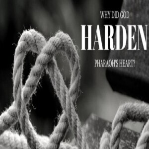 Does God really harden hearts?