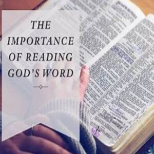 The Power of Reading Scripture