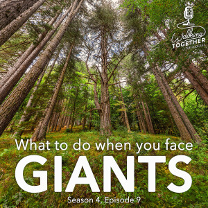 What to do when you face GIANTS