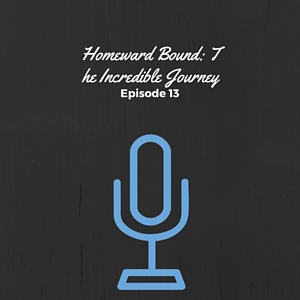 Episode #014: Homeward Bound: The Incredible Journey