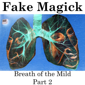 #8 - Breath of the Mild Part 2