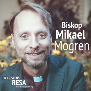 Mikael Mogren