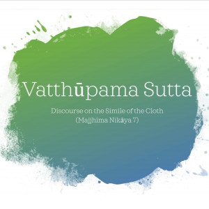 03 Vatthupama Sutta - How to Meditate on Covetousness & Unequal Greed