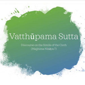 04 Vatthupama Sutta - How to Meditate on Ill Will