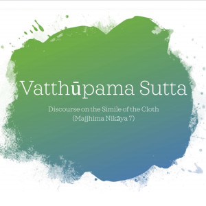 05 Vatthupama Sutta - How to Meditate on Anger