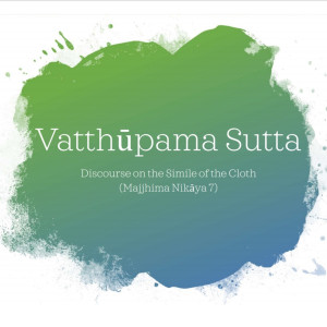 06 Vatthupama Sutta - How to Meditate on Hostility