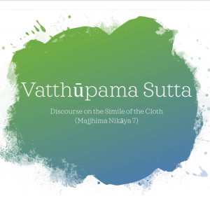 09 Vatthupama Sutta - How to Meditate on Envy