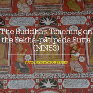 24 Sekha-patipada Sutta (MN53) - Developing the accomplishment of Consummate in Virtue
