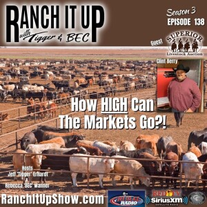Hot Prices! How High Can The Cattle Market Go?