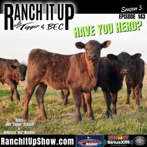 Here Is The Latest Cattle News And Market Reports