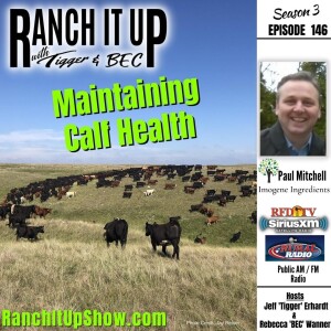 Are Your Calves Healthy & Can You Keep Them Healthy?