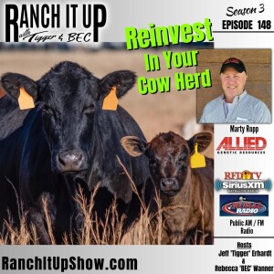 With High Calf Prices, Is Now A Time To Reinvest?