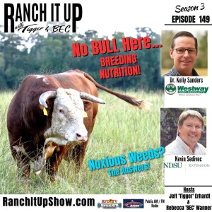 Here Is How To Manage Fall Weeds & Breeding Bull Nutrition