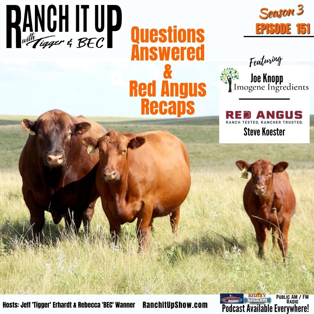 Ranch It Up Radio Show & Podcast