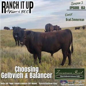 Can You Build A Foundation Cowherd From Scratch?  Absolutely