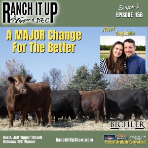 How To Raise Fall Yearling Bulls